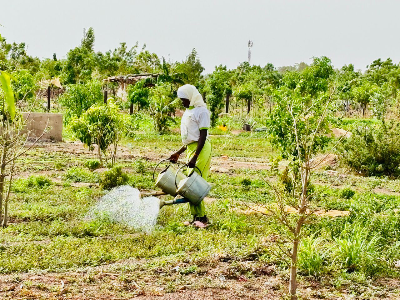 Burkinabe woman managing water and irrigation.png