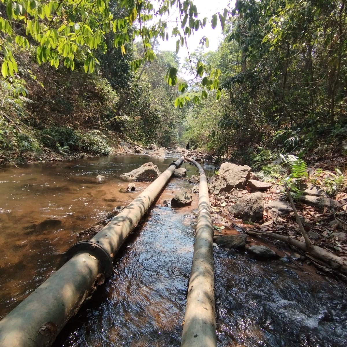 Water Pipe system in Forest Laos 2024-05-02 1.1.jpg