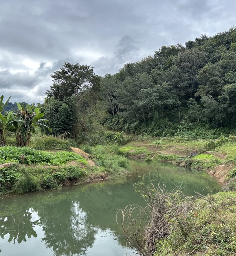 Nam Fa river – the water source for the Water Treatment Plant