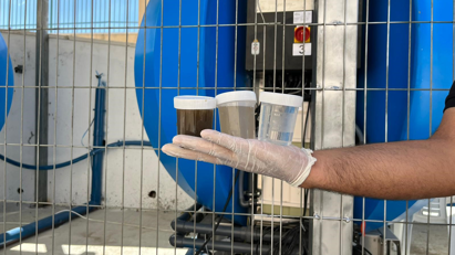 Bluedeal Palestine 1