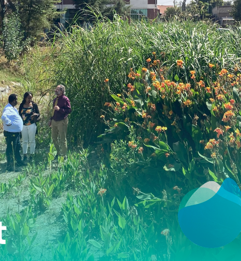 Adama Wetlands Ethiopia With Logos