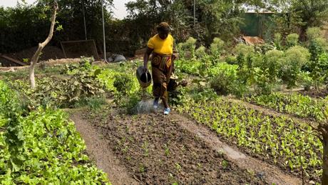 La Saisonnière Member Watering Crops
