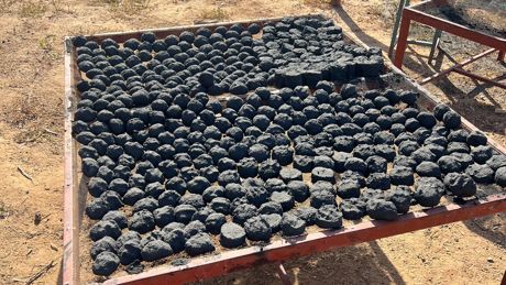 Carbonised Briquettes Made From Plant Leftovers