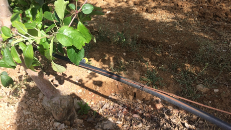 Article Mar Sprinkler System