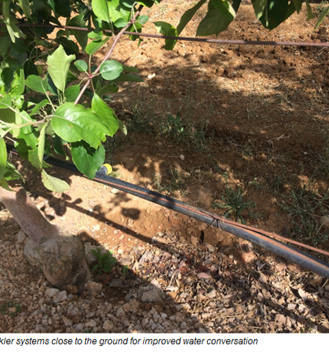 Article Mar Sprinkler System