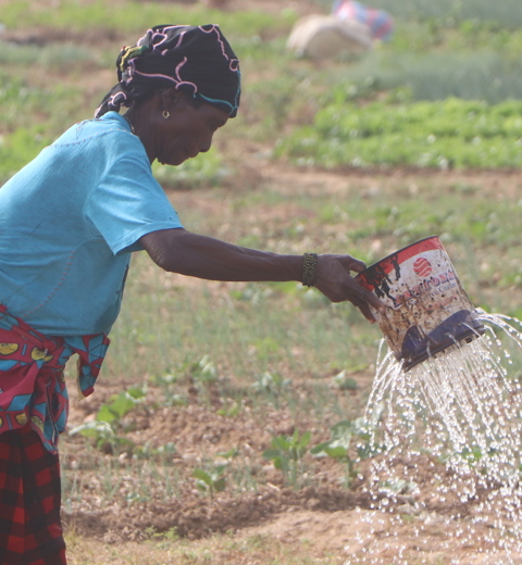 Burkinabe Woman Waterning Plants