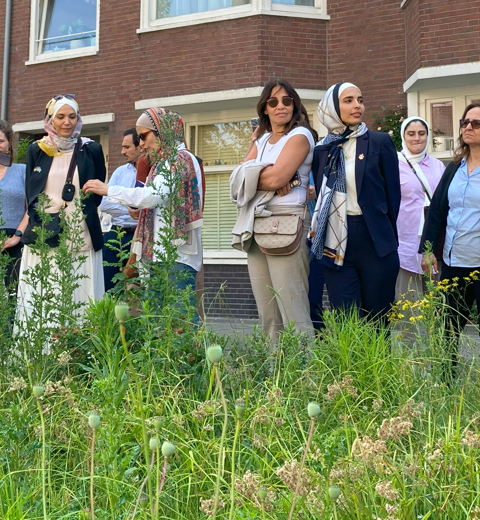 Amsterdam Weatherproef Tour