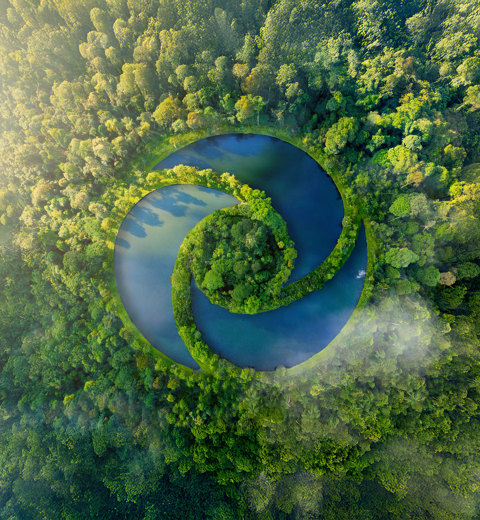Worldwaternet Logo In Jungle Web