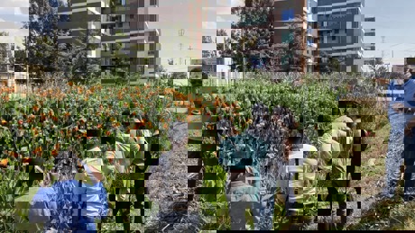 Adama Wetlands Ethiopia 1