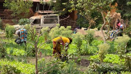 Women Practicing Agroecology