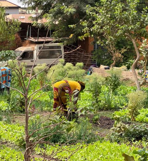 Women Practicing Agroecology