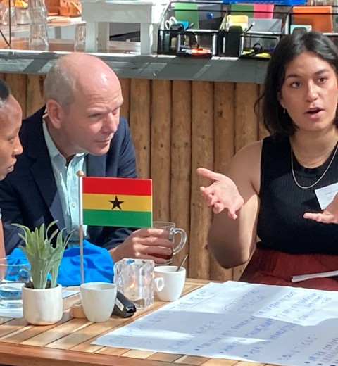 Working On Stakeholder Analyses During The Blue Deal Congress