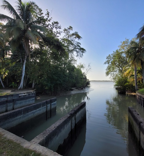 IWM Suriname