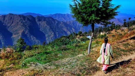 Shimla