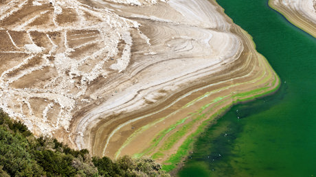 Accumulation Of Algae Clearly Visible On The Shores Of The Litani River