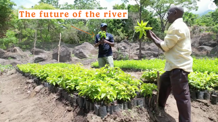 Thumbnail Tanzania Video