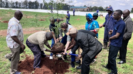 Kenya Team reforestation efforts