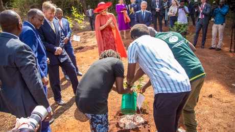 Simon Planting Trees With The Royal Family