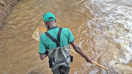 Citizen scientist in the process of collecting macroinvertebrates