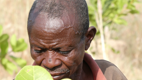 Ghana 5