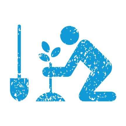 Blue (Weathered) Planting