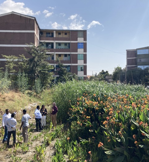 Adama Wetlands Ethiopia (2)
