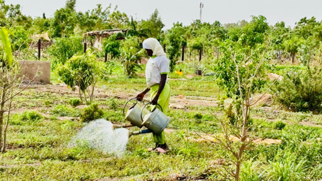 Burkinabe Woman Managing Water And Irrigation