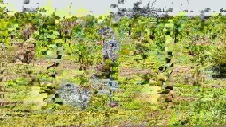 Woman Working The Land ECDD GIRE