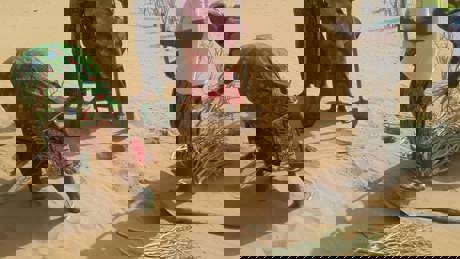 Burkinabe Women planting Euphorbia Balsamifera