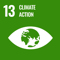13 SDG